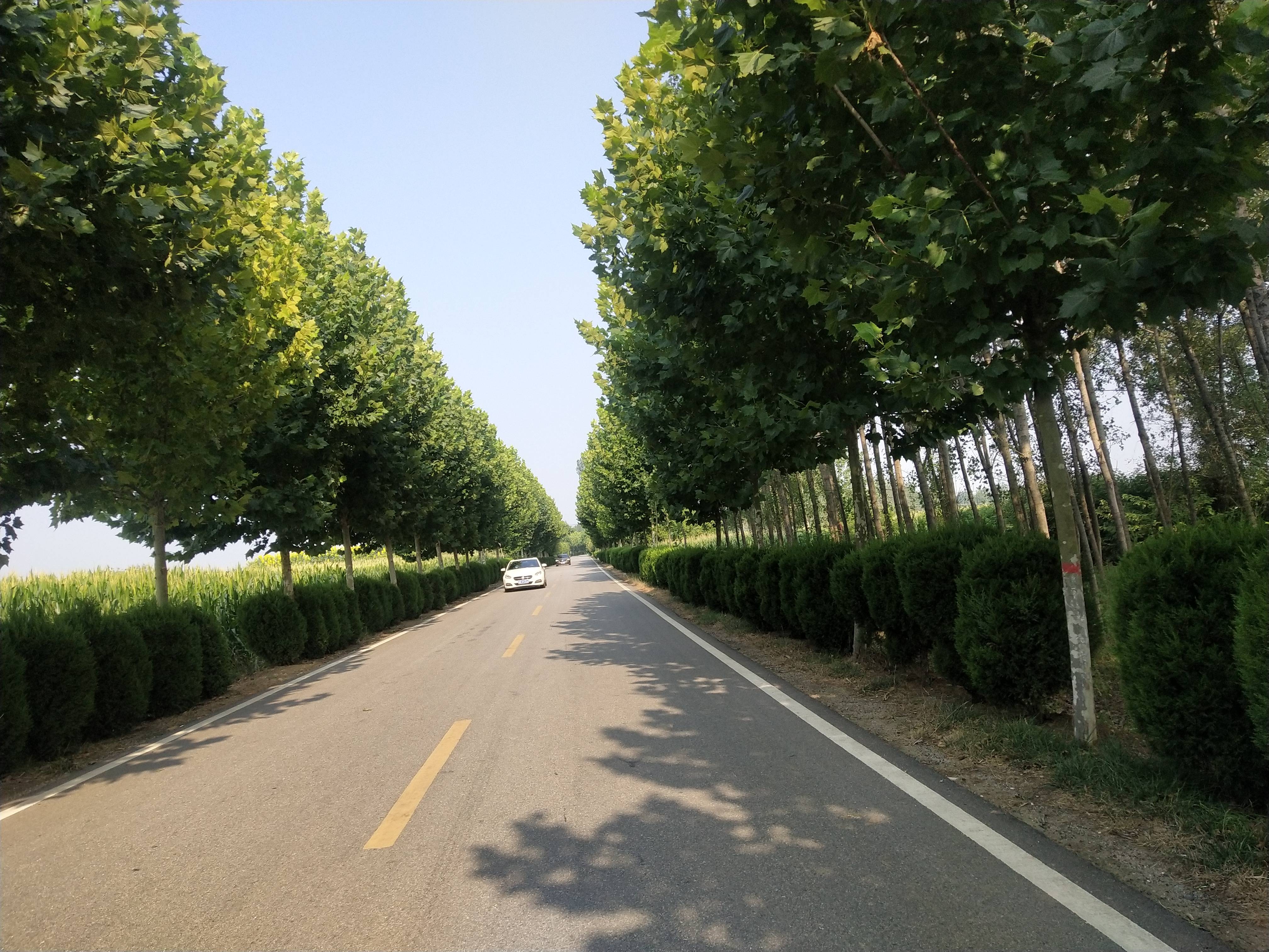 关于乡村振兴新动能:青少年篮球“梦想舞台”走进偏远乡村的信息 关于乡村振兴新动能:青少年篮球“梦想舞台”走进偏远乡村的信息